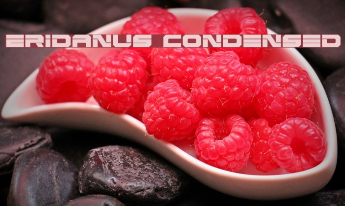 Eridanus Condensed Font examples