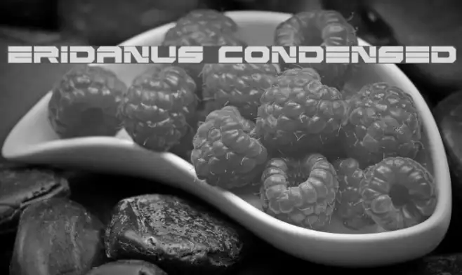 Eridanus Condensed Example 1
