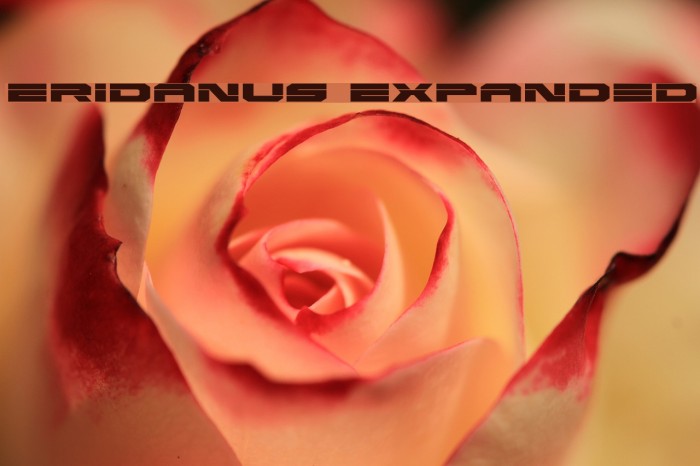 Eridanus Expanded Font examples