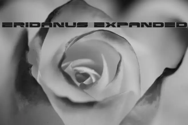 Eridanus Expanded Example 2