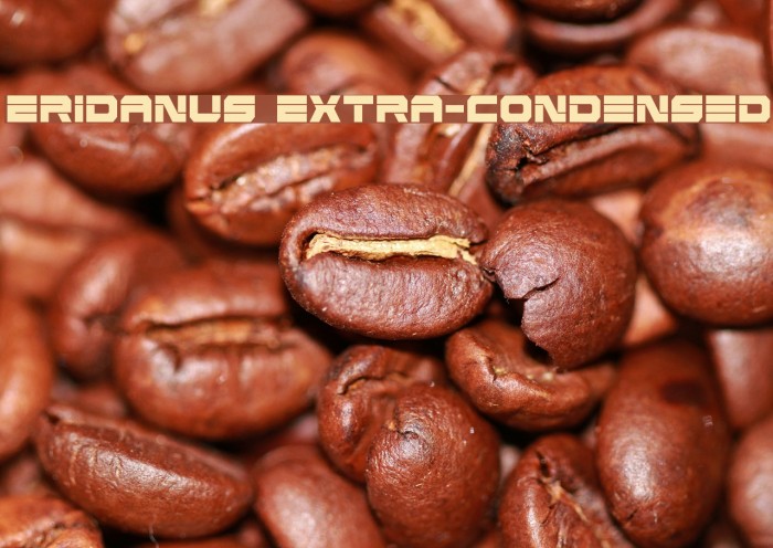 Eridanus Extra-Condensed Font examples