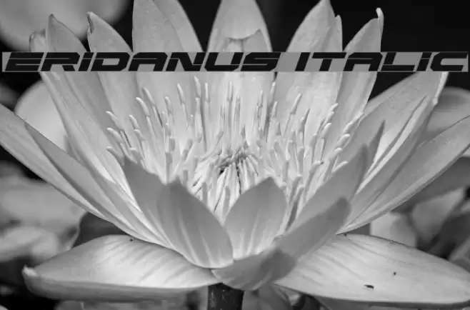 Eridanus Italic Font examples