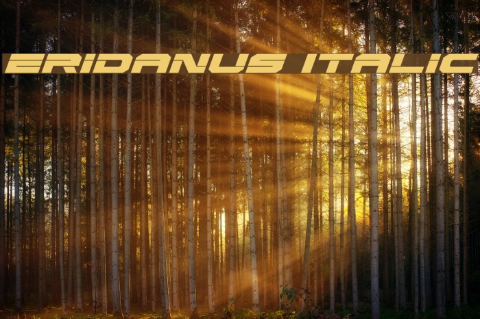 Eridanus Italic Font examples