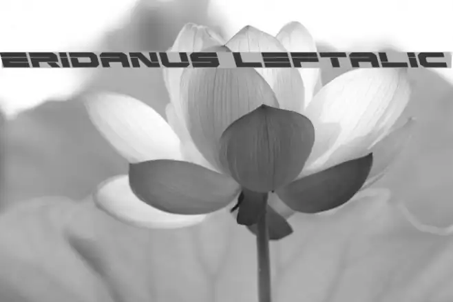 Eridanus Leftalic Example 3