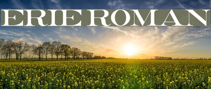 Erie Roman Font examples