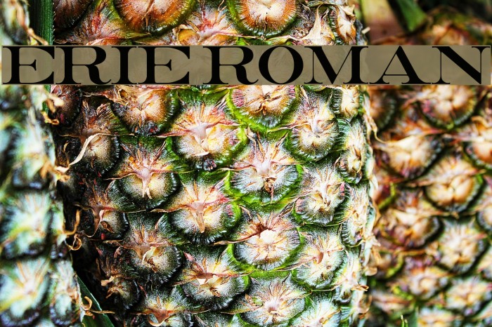 Erie Roman Font examples