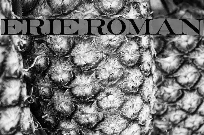 Erie Roman Example 2