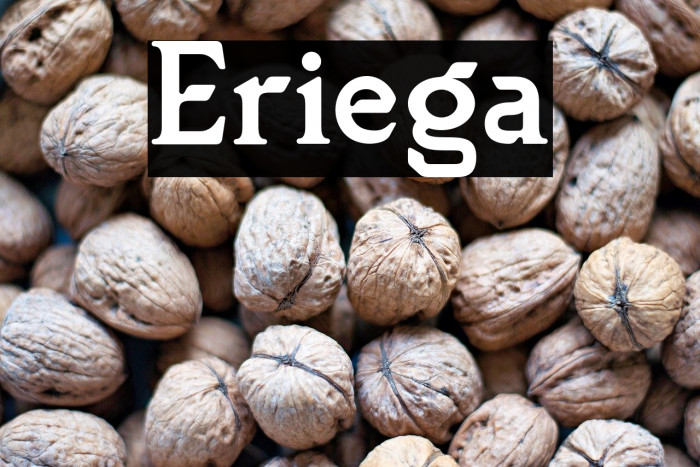 Eriega Example 1