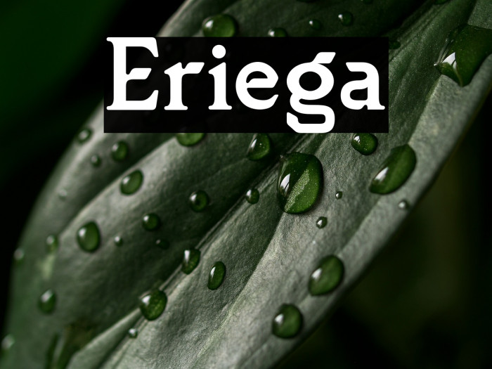 Eriega Example 2