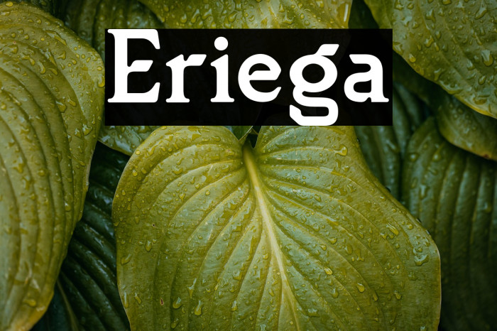 Eriega Example 3