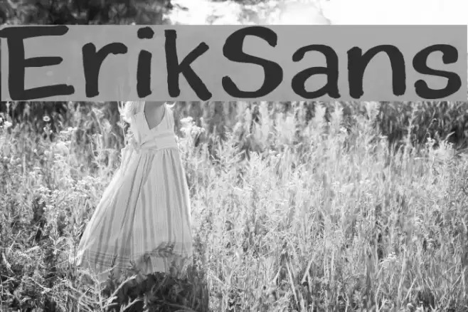 ErikSans Font examples