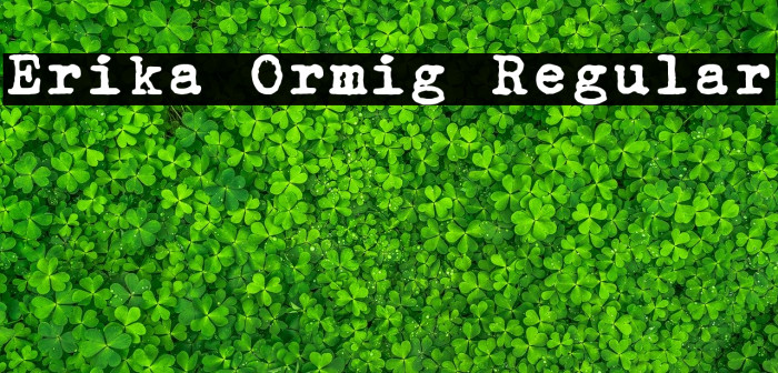 Erika Ormig Regular Font examples