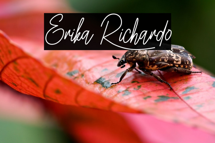 Erika Richardo Example 2