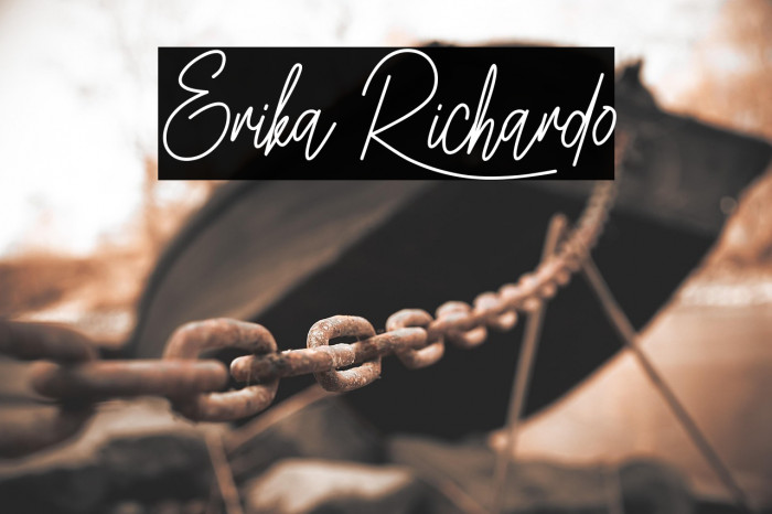 Erika Richardo Example 3