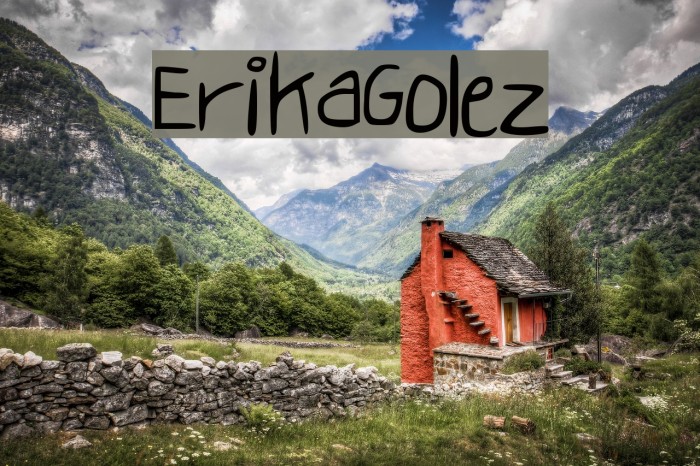 ErikaGolez Polices examples