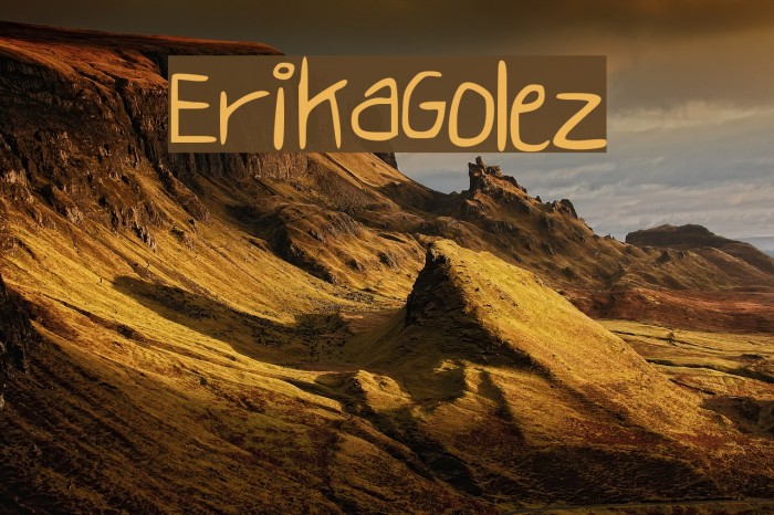 ErikaGolez Polices examples