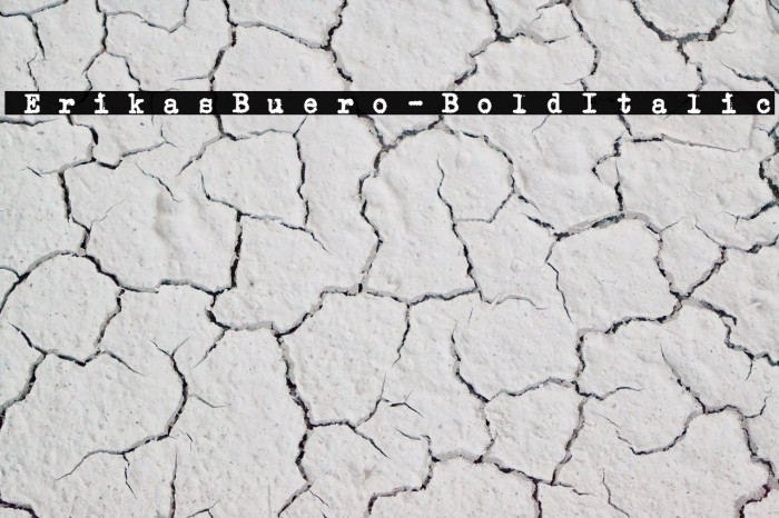 ErikasBuero-BoldItalic Font examples