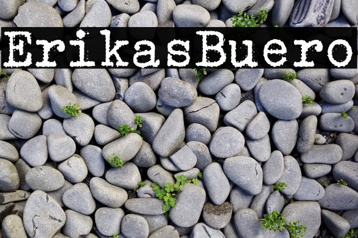 ErikasBuero Font examples