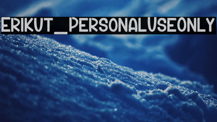 Erikut_PersonalUseOnly Example 1