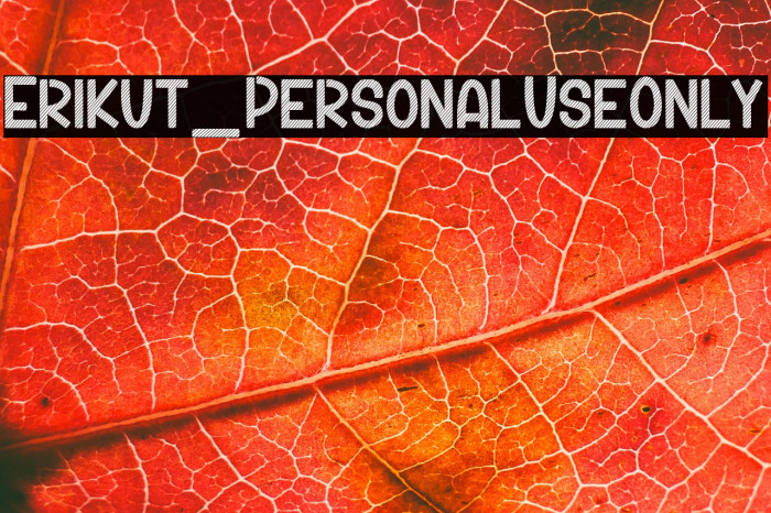 Erikut_PersonalUseOnly Example 2