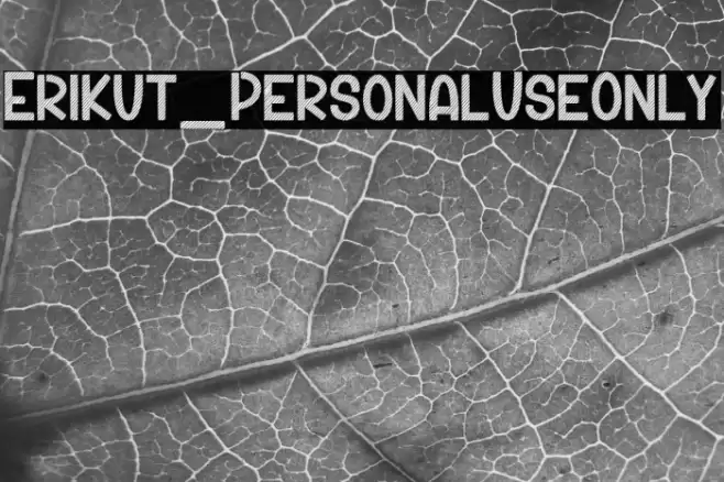 Erikut_PersonalUseOnly Font examples