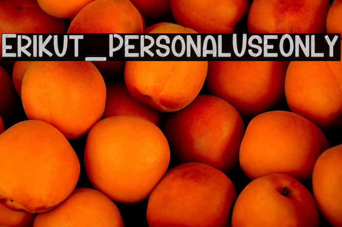 Erikut_PersonalUseOnly Example 3