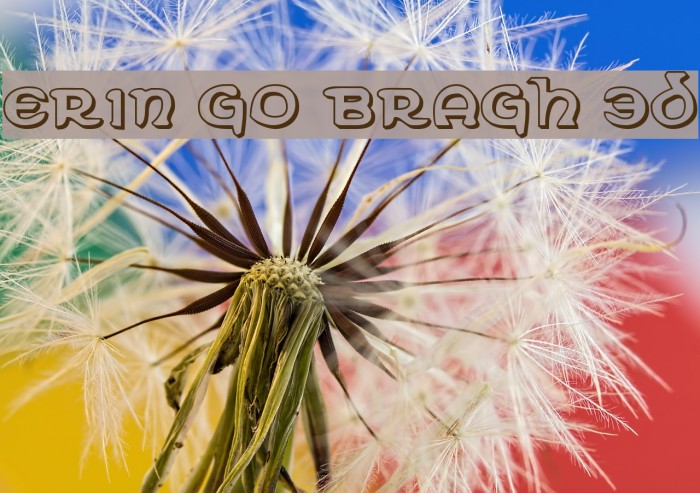 Erin Go Bragh 3D Font examples
