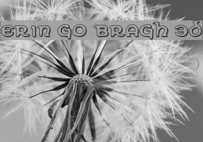 Erin Go Bragh 3D Font examples