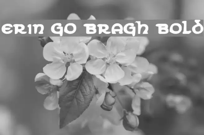 Erin Go Bragh Bold Font examples