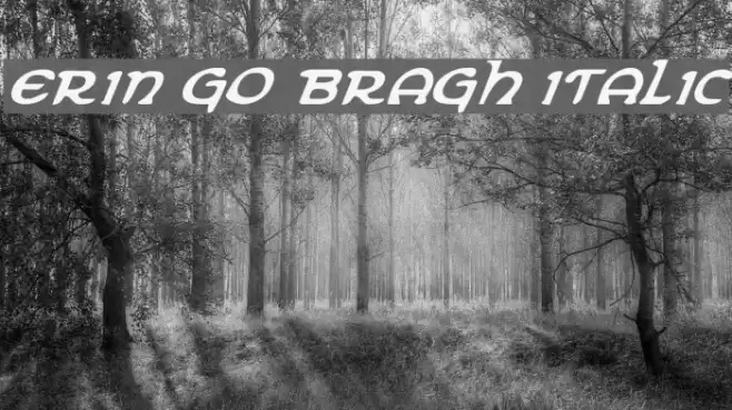 Erin Go Bragh Italic Font examples