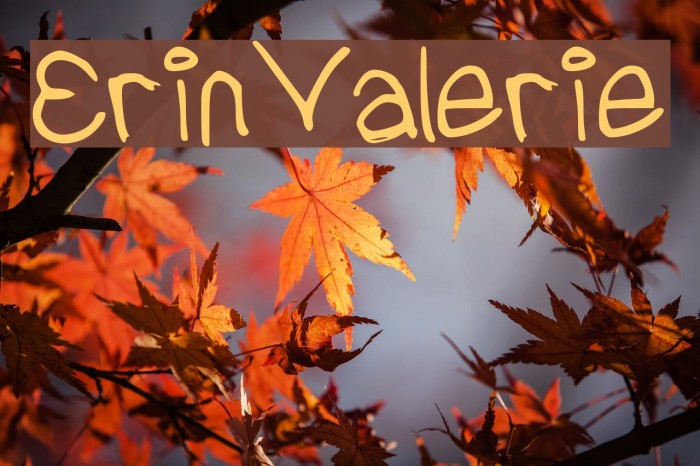 ErinValerie Example 1