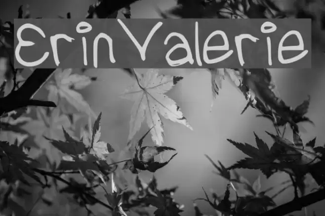 ErinValerie Font examples