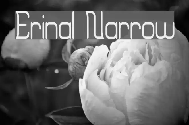 Erinal Narrow Font examples