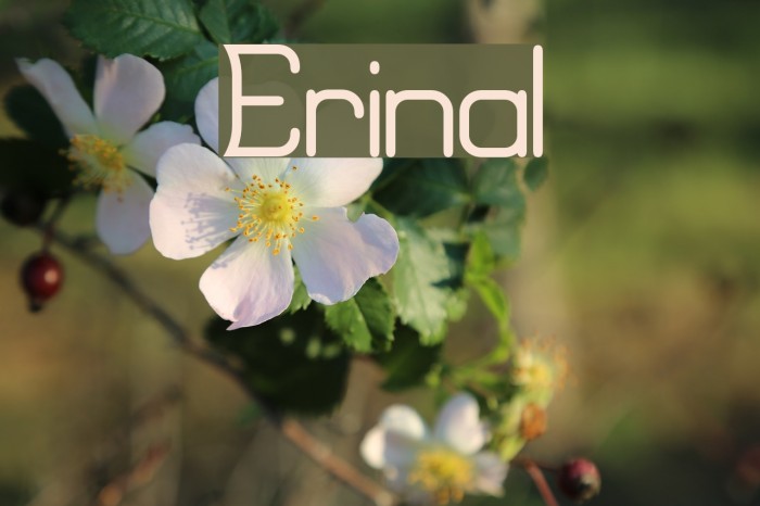 Erinal Font examples