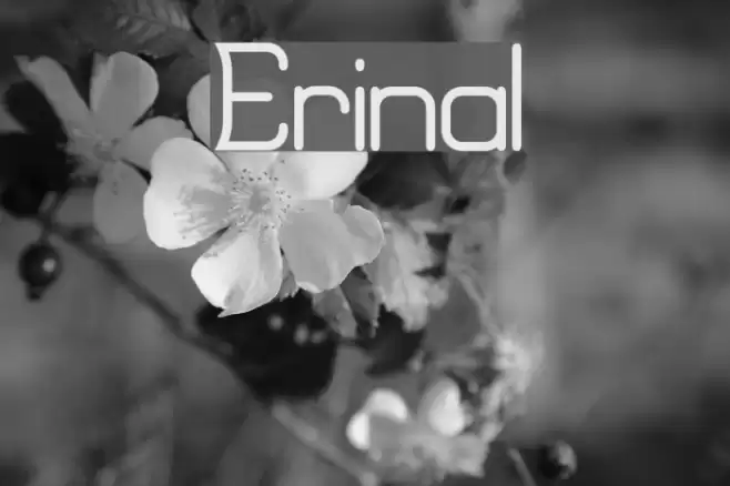Erinal Schriftart examples