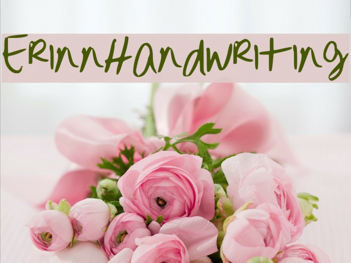 ErinnHandwriting Font examples