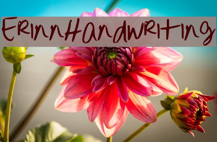 ErinnHandwriting Font examples