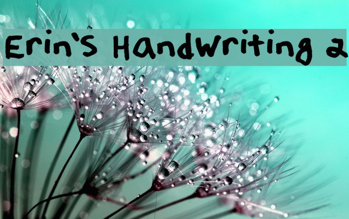 Erin's Handwriting 2 Шрифта examples