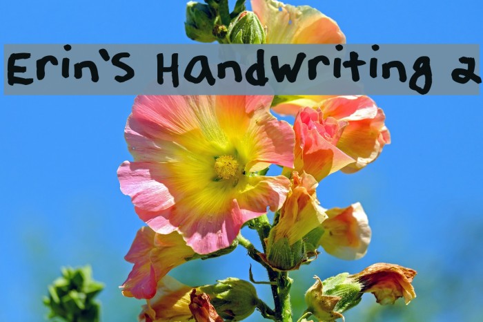 Erin's Handwriting 2 Шрифта examples