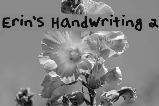 Erin's Handwriting 2 Font examples
