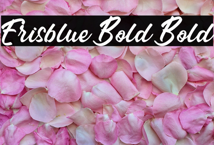 Erisblue Bold Bold Example 1