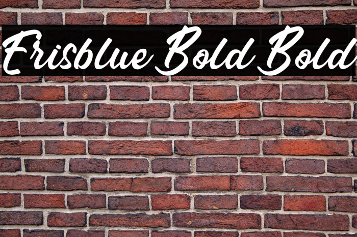 Erisblue Bold Bold Example 3