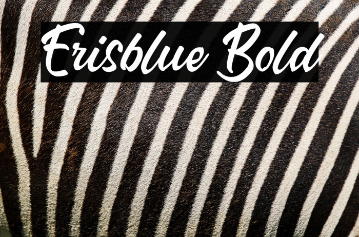 Erisblue Bold Example 3