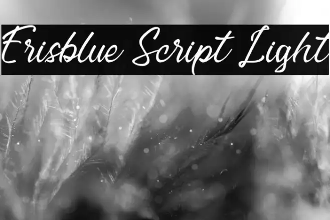 Erisblue Script Light Example 1