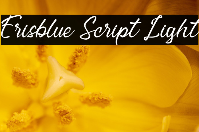 Erisblue Script Light Example 2