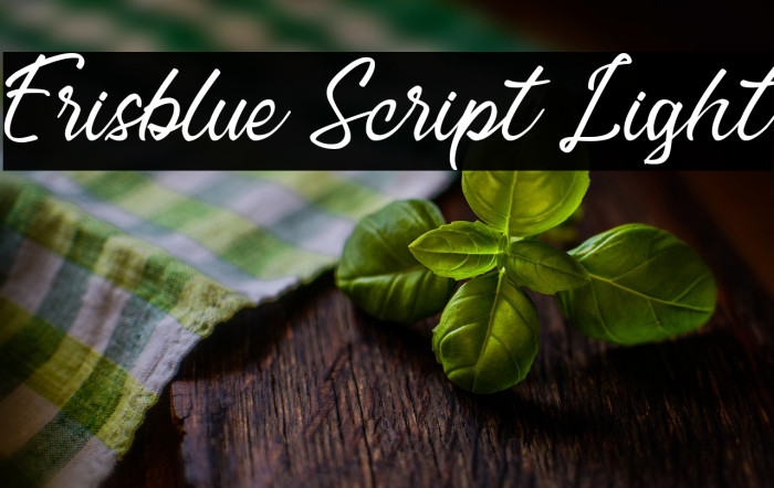 Erisblue Script Light Example 3