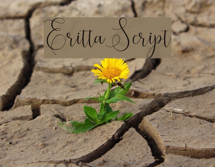 ErittaScript Font examples