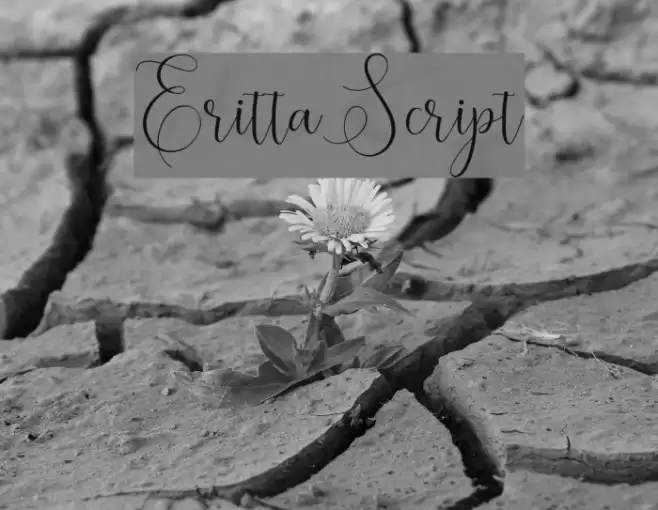 ErittaScript Font examples
