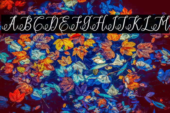 ErittaSlant-Bold Example 1