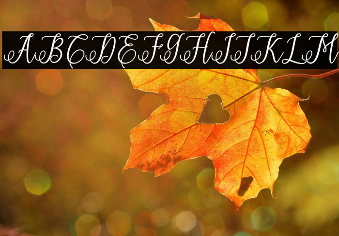 ErittaSlant-Bold Example 2